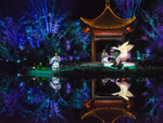 水中仙子，花開韓城丨2017全國首屆睡蓮文化節(jié)開幕式驚艷韓城！
