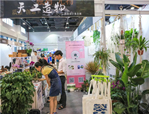 走進(jìn)植物，享受美好——花點(diǎn)園藝亮相第十二屆杭州文博會