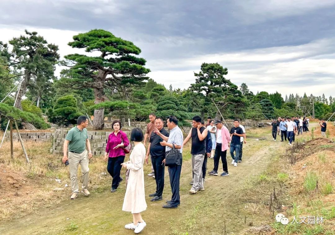 人文動態(tài)|陳勝洪董事長主持杭州市苗木商會會議，帶領(lǐng)全體會員考察2個精品苗圃
