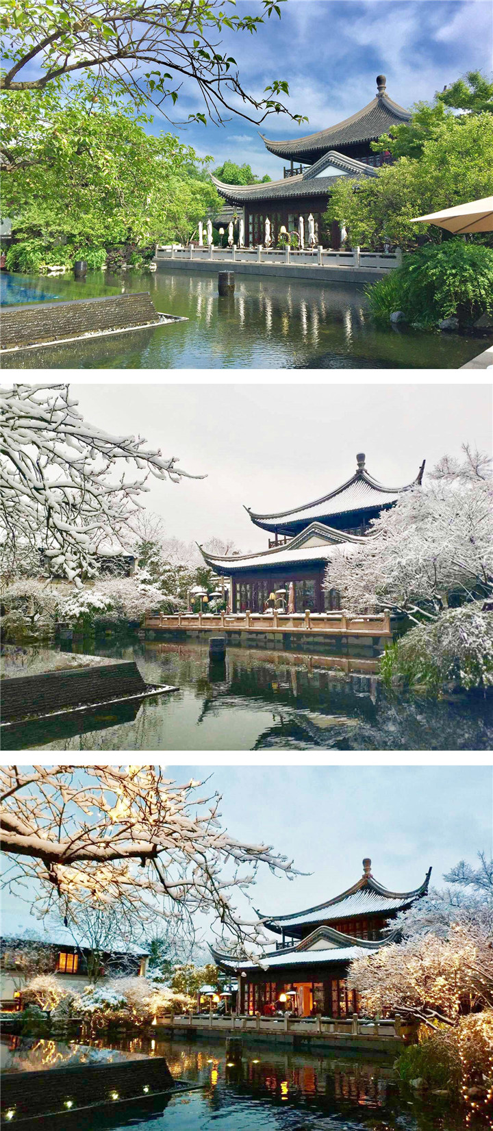 費(fèi)迎文-組圖.jpg