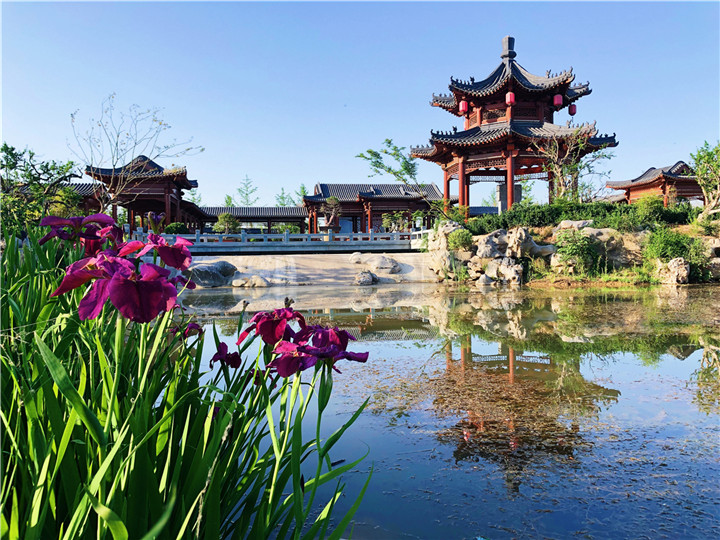 陳翠-韓城國(guó)家文史公園澽水觀魚一景.jpg