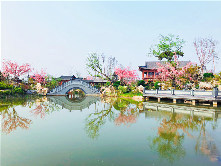 黃有華-韓城國(guó)家文史公園瓊島攬?jiān)绿幖t花綠葉，春意盎然。.jpg