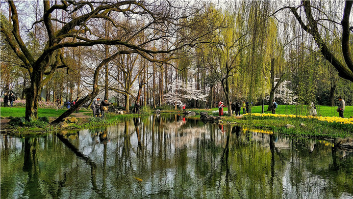晏佳佳-12春光燦爛——2018-03-22——太子灣公園的春天，色彩靚麗 (2).jpg